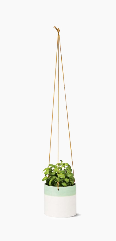 Sky planter